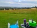 Kettle and view with alpacas
