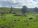 Local area