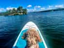 Lots of fun on the lake!