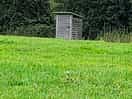 Toilet.