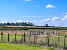 Dog exercise areas
