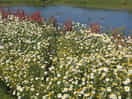 Farm park