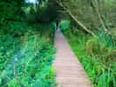 Walkplatform behind the lake at slapton