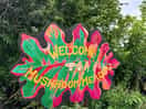 Welcome to mushroom meadow