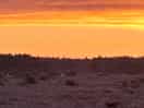 Sun set