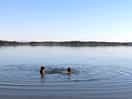 The stunning lake nearby