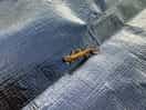 Wildlife
