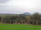View from van