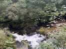 Near by