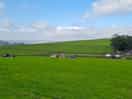 Top field