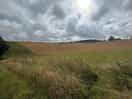 Local landscape