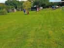 Lovely well kept grass
