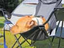 Dog friendly!