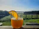 Morning juice on the decking