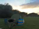 The pitch