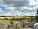 The view