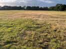 Huge field with stunning views