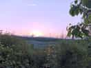 Evening view