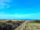 Footpath next to campsite.