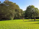 Field