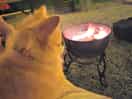 Firepit at night