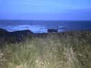 View from the coastal pod