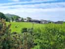 Nearby farm with cattle and sheep gives a great countryside feel.