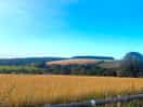 View from our pitch