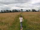 Path to camping field