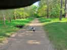 Walk