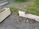 Weeds growing in planters sad