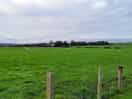 Large fenced dog field.