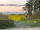 View opposite the entrance gate