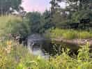 Lovely place for a cup of tea by the river