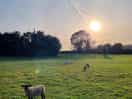 Walking to the pub