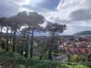 Views