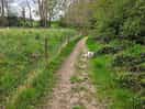 Lovley walks