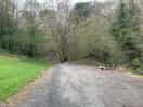 Pitches and tyre swing at the bottom