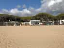View from the beach