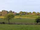 Evening walk