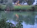 Lake at night