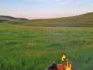 Fire pit friendly