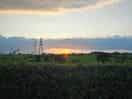 Dawn