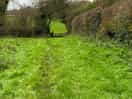 Walk in the country