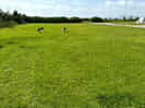 Site
