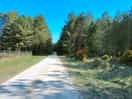 One of the walks