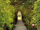 The nice tunnel