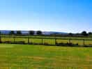 View from tent on top field