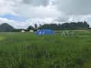Pitched with friends