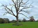 Walk in the country